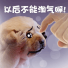 に*水果大王*に的图片