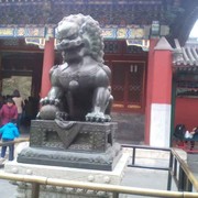 微信_8348863