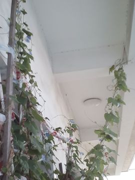 我好爱你你好满意主播照片