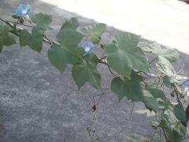 我好爱你你好满意主播照片