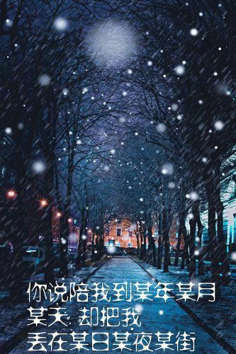 寻找梦想的影子主播照片
