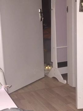 小野猫0424主播照片