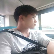 窝嗳叶子