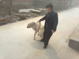 暴发户龙哥主播照片