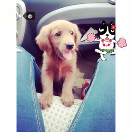 @美少女主播照片