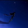 ╭太闹腾╮海报