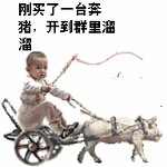 娜龙本君