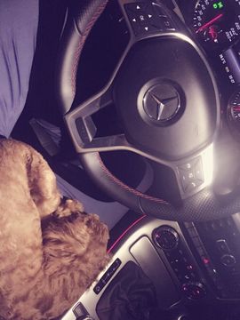 胡子欧巴主播照片