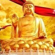 仟鶴℡