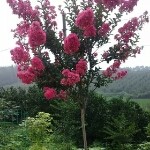 ☆yi❤静静在