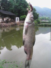 PentaKIll神主播照片