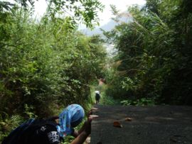 阳光山水主播照片
