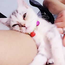 初恋儿呀主播照片