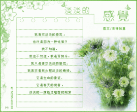 杯中水——心醉主播照片