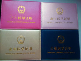 金刚网主播照片