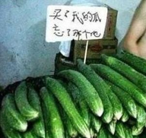 火烧❻间房的主播照片