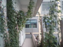 我好爱你你好满意主播照片