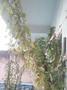我好爱你你好满意主播照片