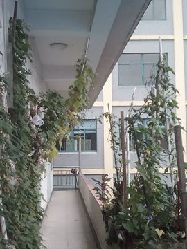 我好爱你你好满意主播照片
