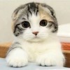 。mnr