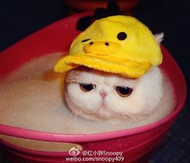 Tiffany_66主播照片