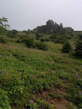 神农架.山妹妹主播照片