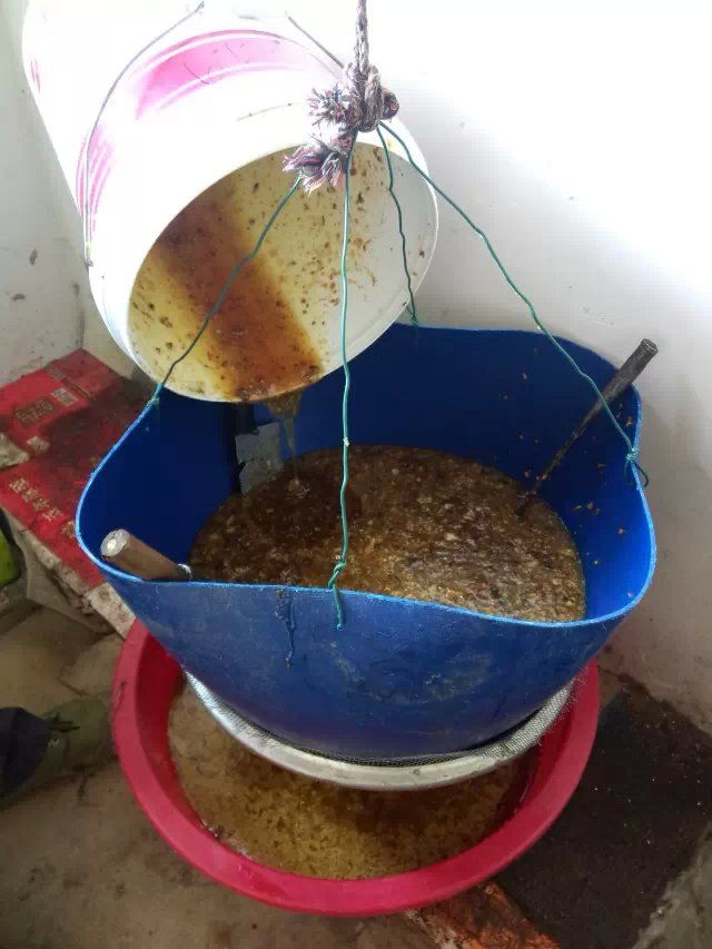 神农架.山妹妹主播照片