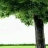 兰色天空$