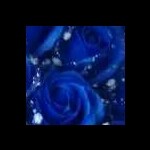 夜蒲余香海报