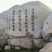 金娃娃鱼海报