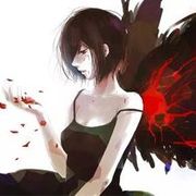 花开浅夏时
