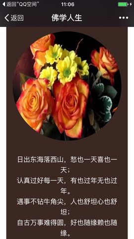 冰爷守护辰宝主播照片