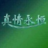 永恒j0