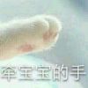 风中的落叶i0