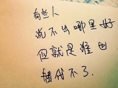 213154的主播照片