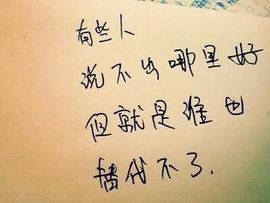 213154主播照片