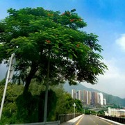 微信_3885424