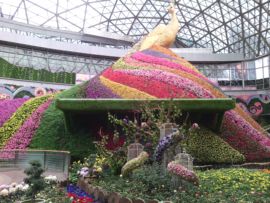 猫猫780主播照片