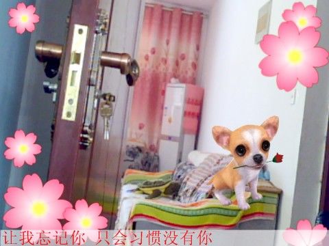~感动陪伴一秒~的主播照片