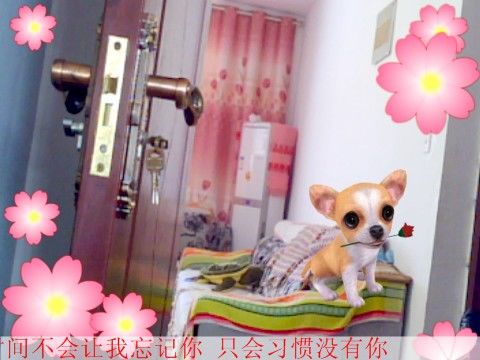 ~感动陪伴一秒~的主播照片