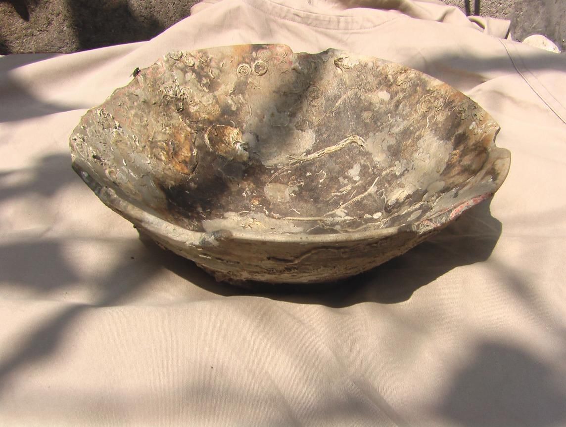 沈平栅的主播照片