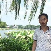 首阳山人5海报