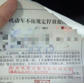 雷★刚主播照片