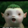航启x