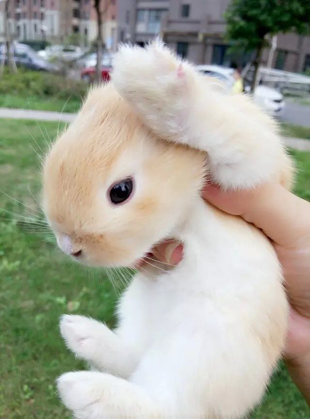 ❀慧❤慧❀的主播照片