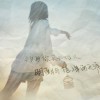 抱歉，犯贱。海报