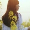 情殇eb