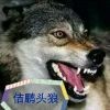 佶鹏*