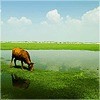 跳大绳0海报