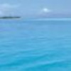 海洋cf